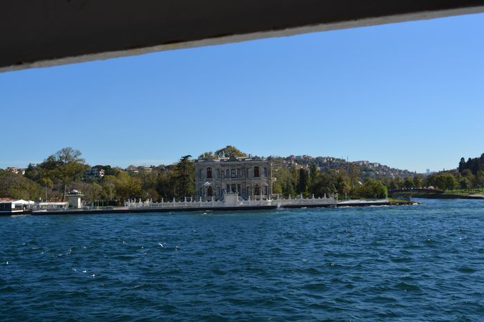 image-.jpg