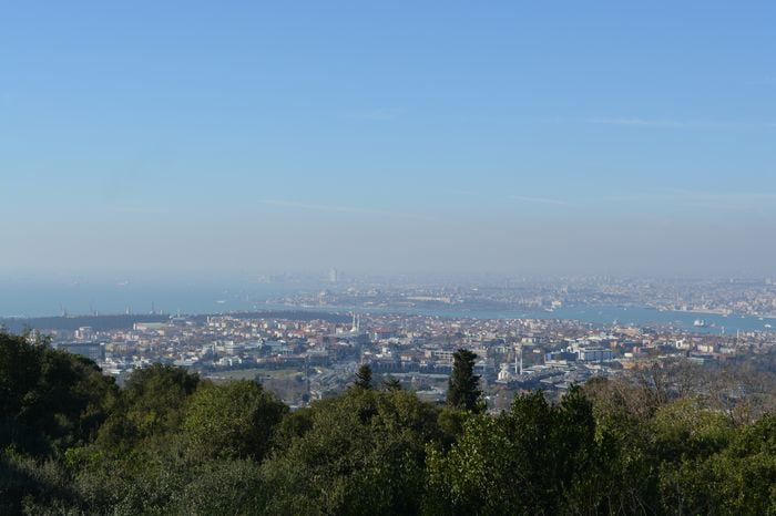 image-.jpg
